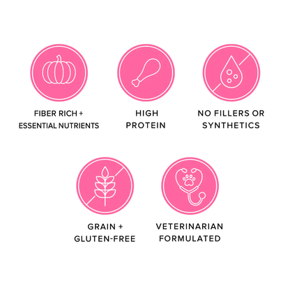 Jojo Modern Pets - Ava's Pet Palace Freeze Dried Dog Treats - Turkey Poppers