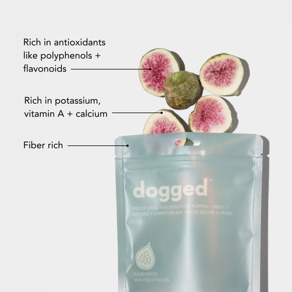 dogged - Freeze dried fig topper