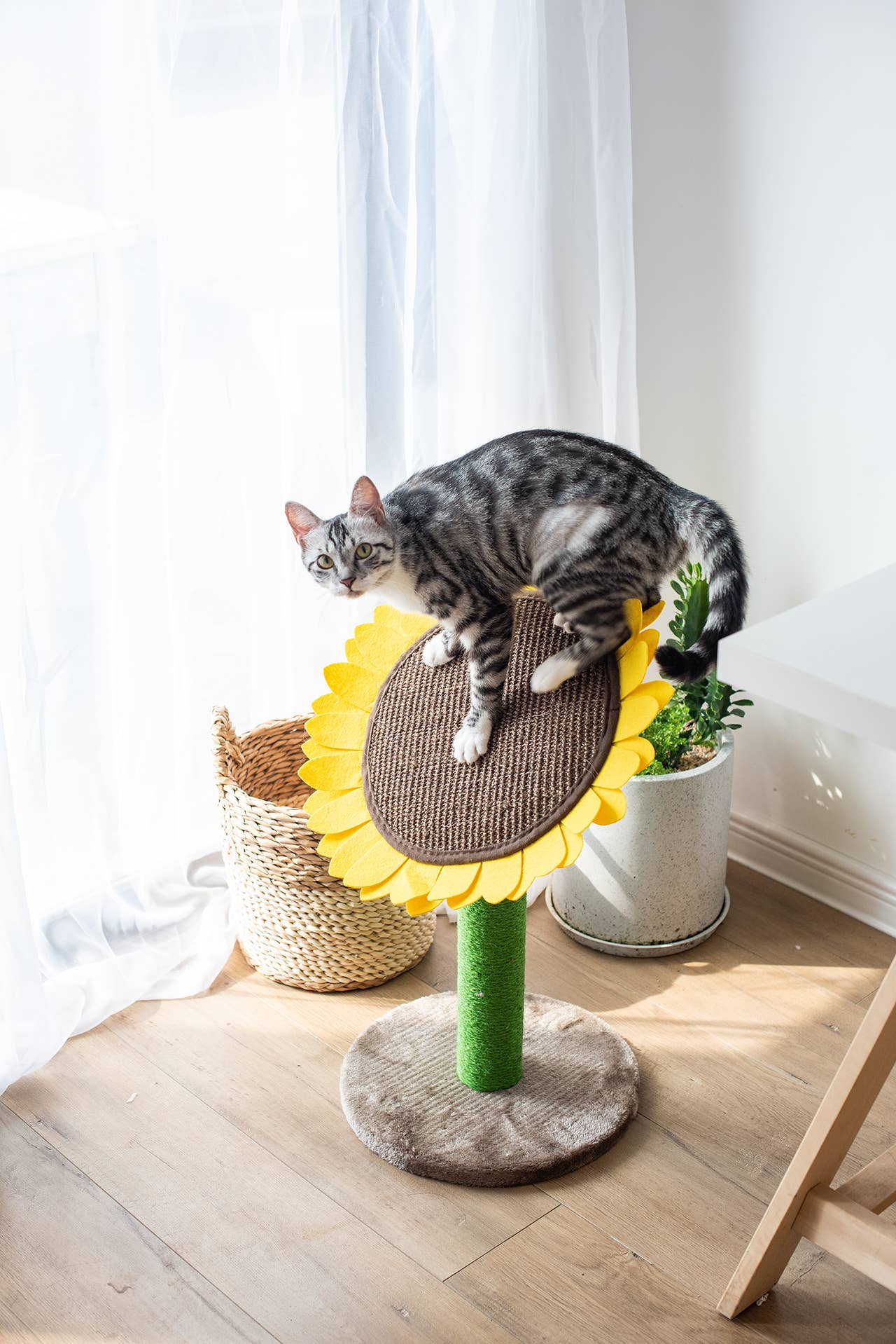 PetPals Group - Catry Sunflower Cat Scratcher