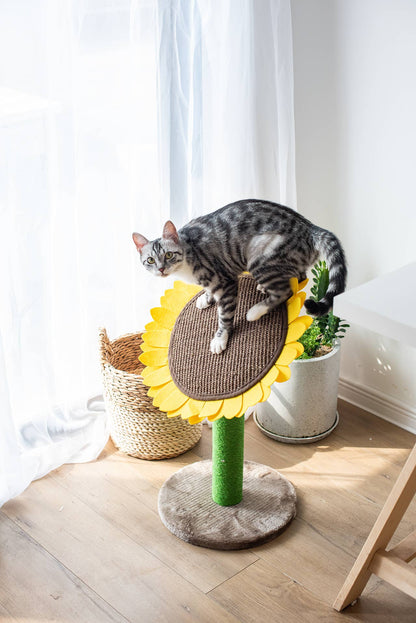 PetPals Group - Catry Sunflower Cat Scratcher
