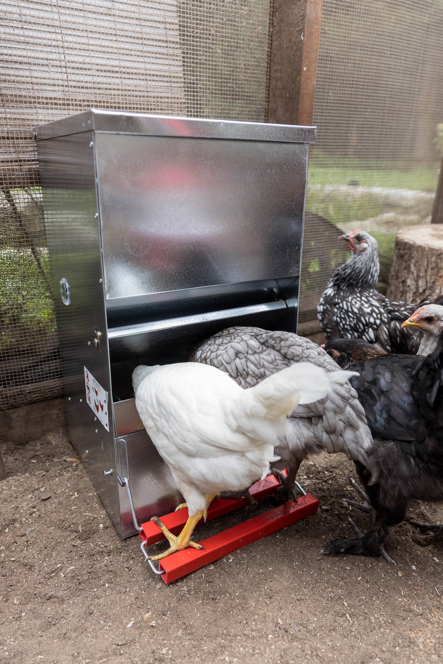 My Favorite Chicken - Automatic Metal Poultry Treadle Feeder 40lb