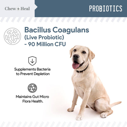 Chew + Heal - Digestive Enzymes with Probiotics