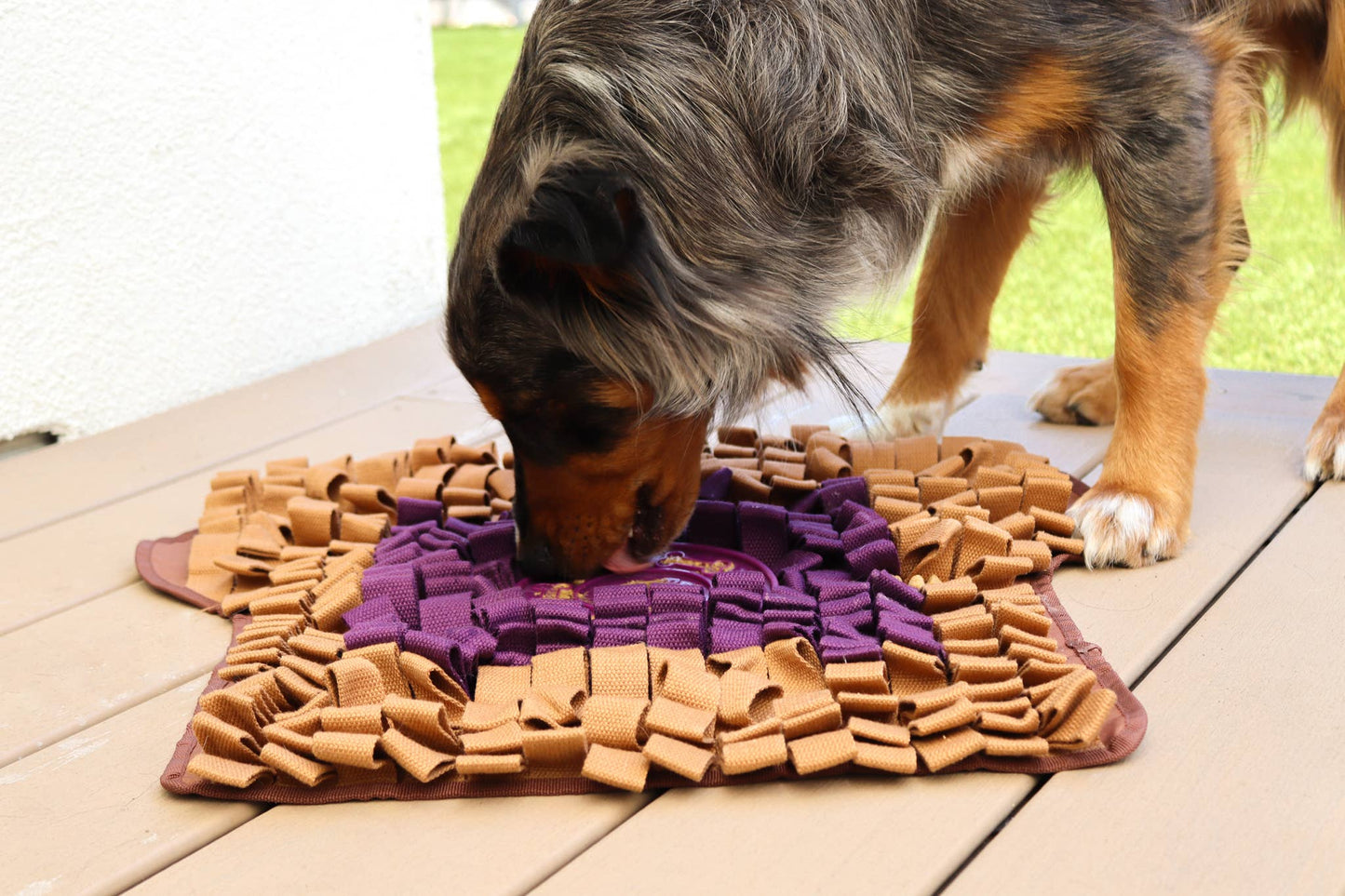 Injoya - PB&J Snuffle Mat