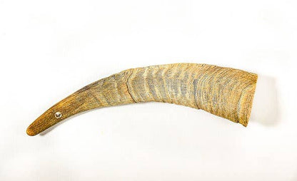 QT Dog, LLC - Gobi Goat Horn