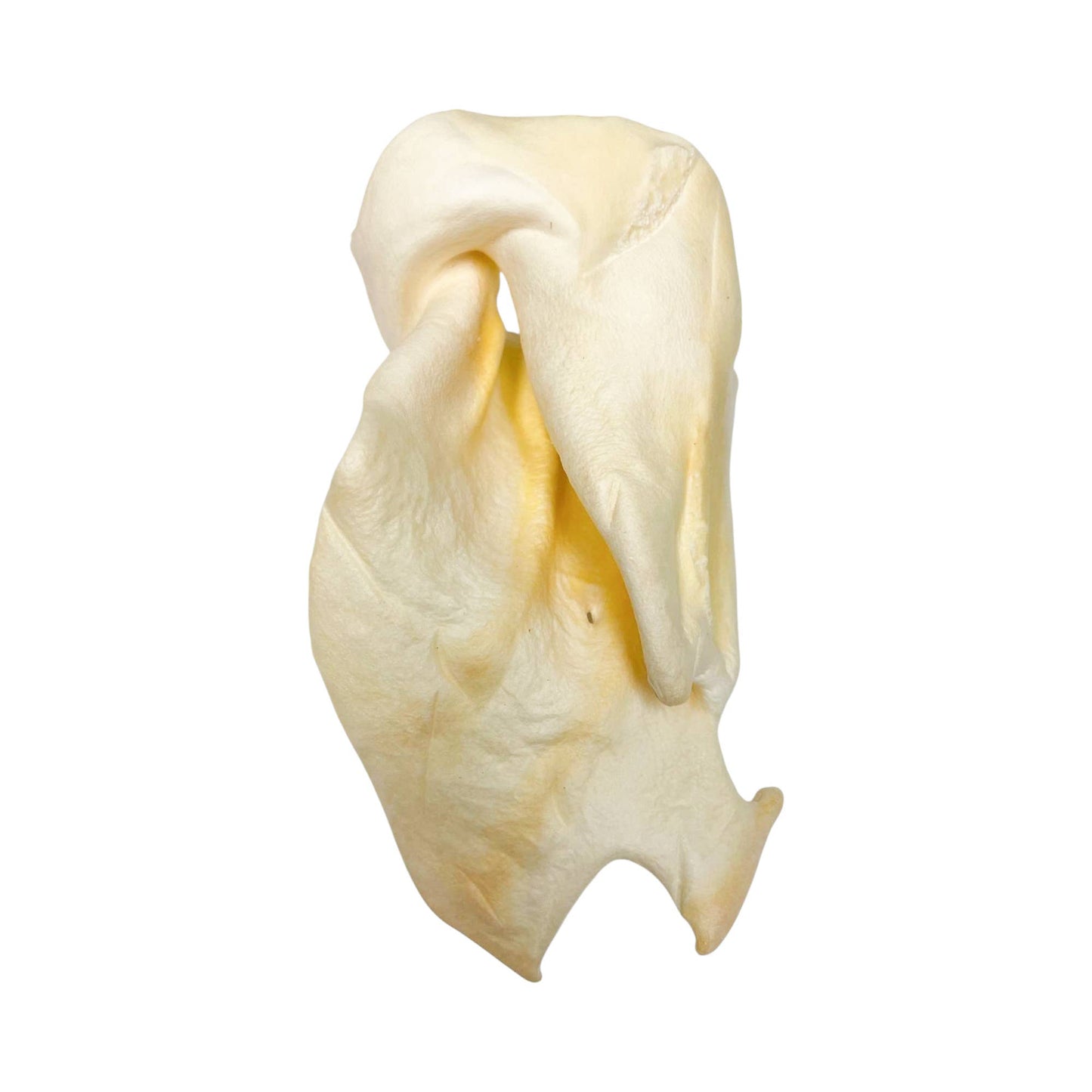 Jojo Modern Pets - All-Natural Single Ingredient Cow Ear Dog Chews (25/Bag)