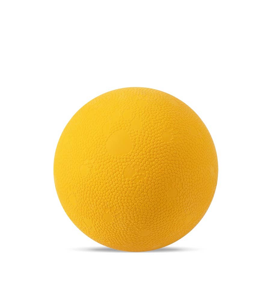 OllyDog - Happy Camper Ball Mango