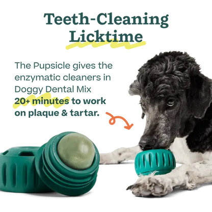 Woof - Pupsicle Mix- Doggy Dental