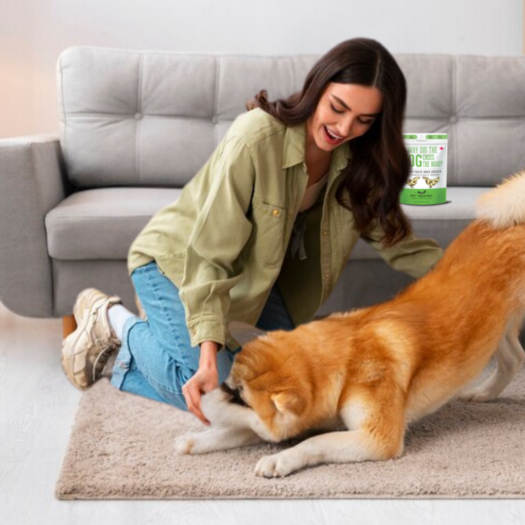 The Granville Island Pet Treatery (USA) - Chicken Freeze-Dried Pet Treats: Protein & Nutrient Rich