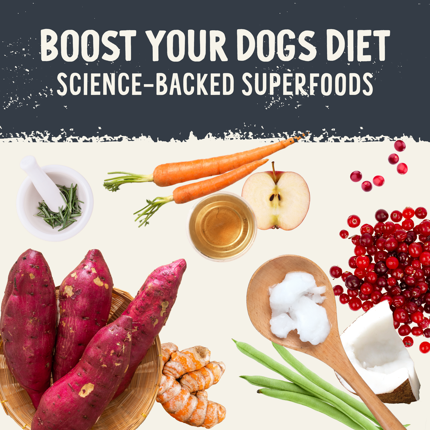 Health Extension Pet Care - Freeze Dried Raw Beef Recipe