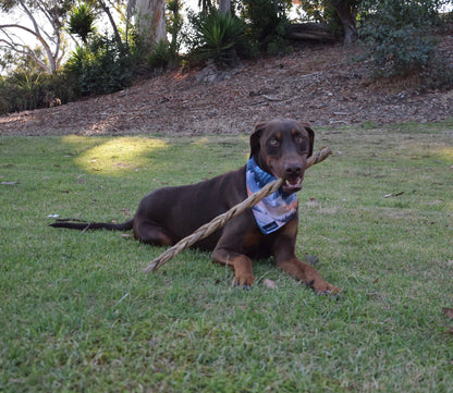 Dogginstix - 12" Braided Lamb Collagen Sticks