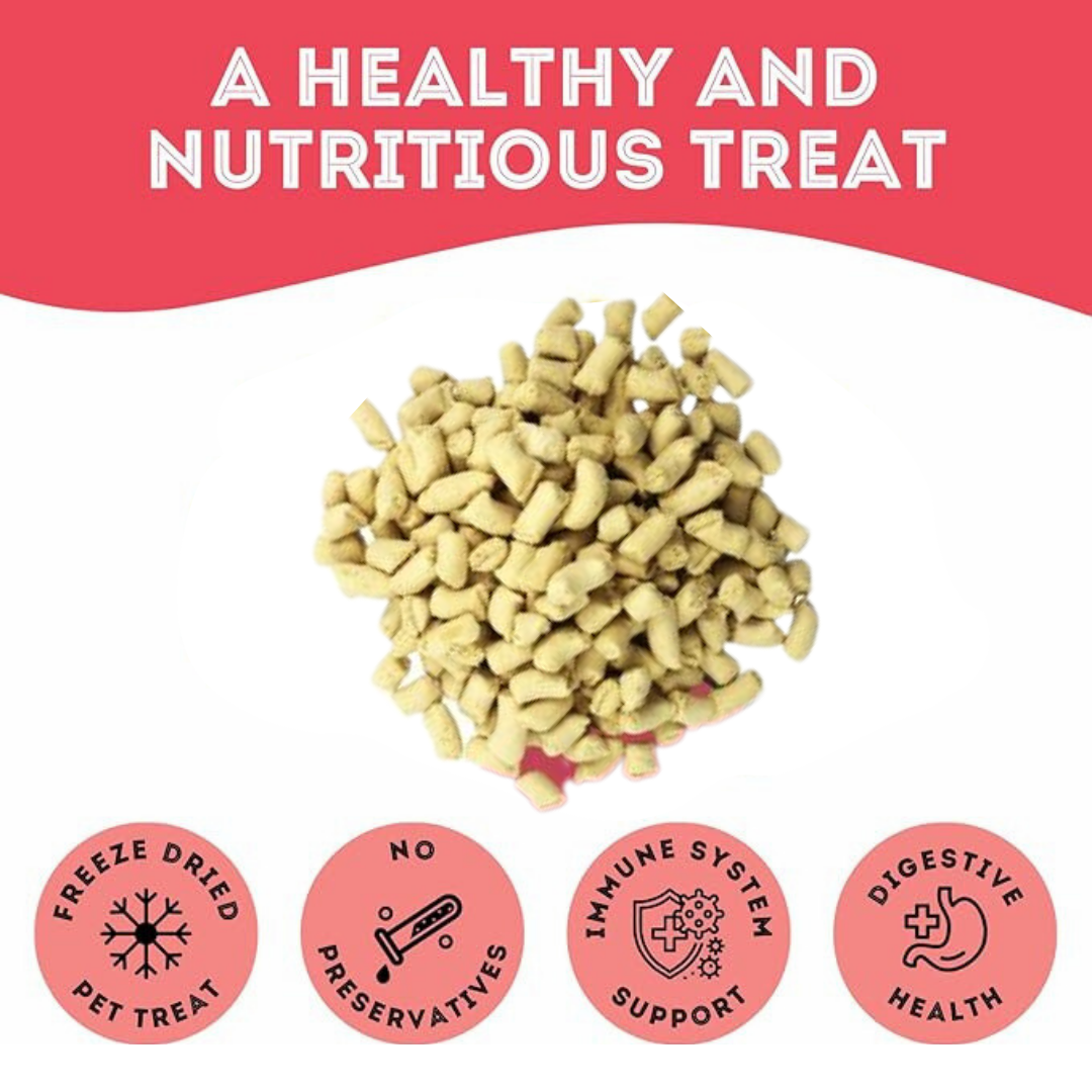 The Granville Island Pet Treatery (USA) - Turkey Freeze-Dried Pet Treats: High-Protein & Nutritious