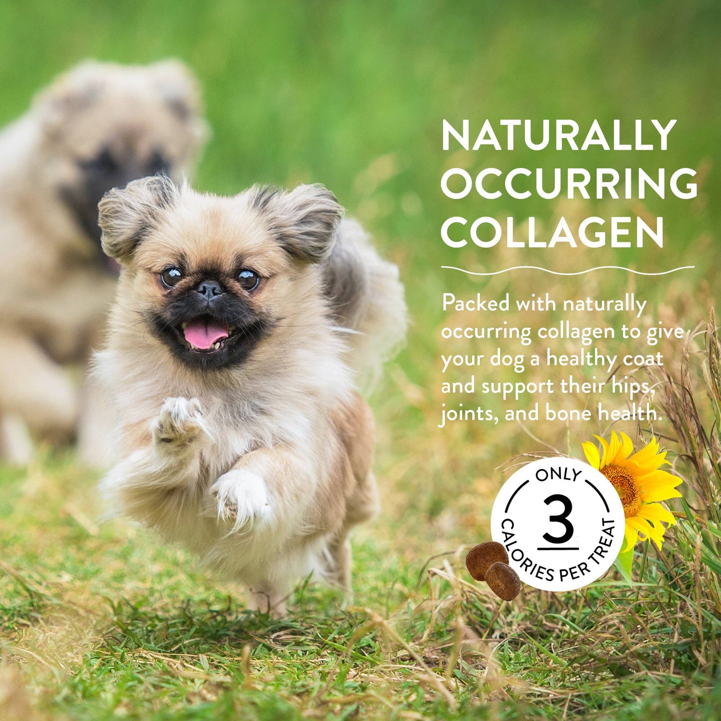 Shameless Pets - Peanut Butter Bliss Bone Broth Dog Training Treats