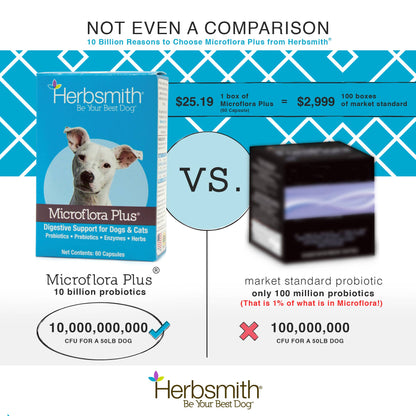 Herbsmith - Microflora Plus - Digestive Aid for Dogs & Cats