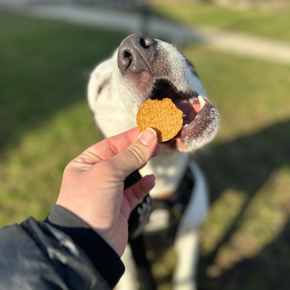 Farm to Pet Healthy Dog Treats - Fish Chips Dog Treats