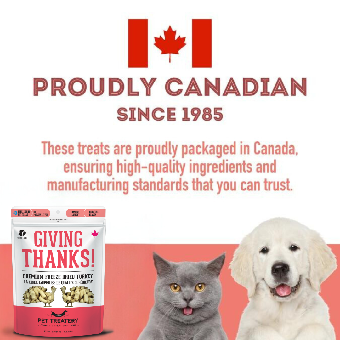 The Granville Island Pet Treatery (USA) - Turkey Freeze-Dried Pet Treats: High-Protein & Nutritious
