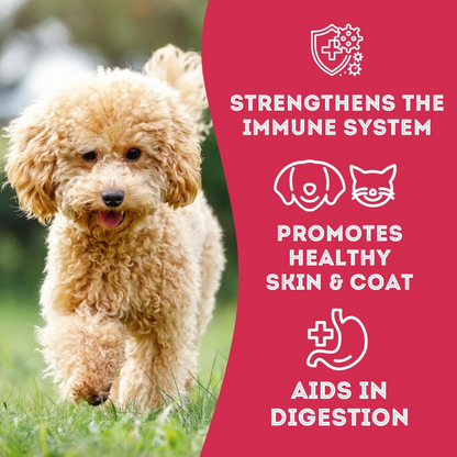 The Granville Island Pet Treatery (USA) - Duck & Cranberry Soft Dog Treats: Chewy & All-Natural