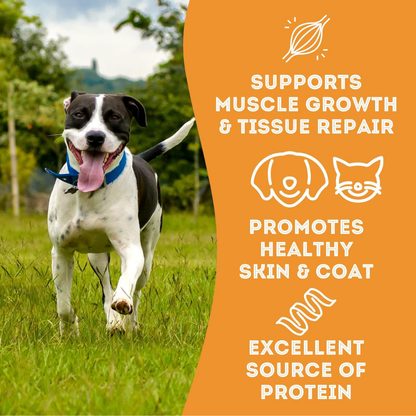 The Granville Island Pet Treatery (USA) - Pork & Cheese Soft Dog Treats: For Puppies and Seniors