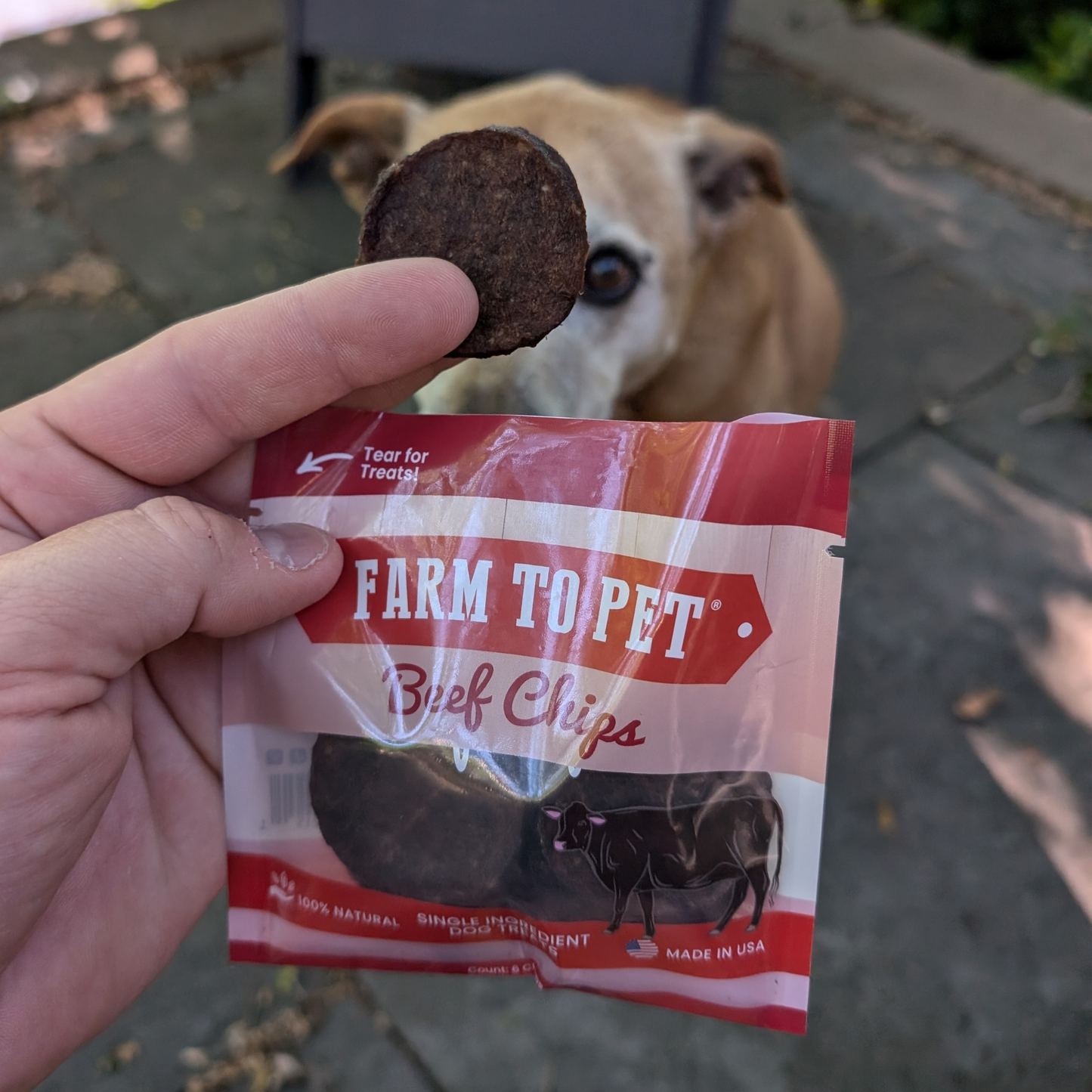 Farm to Pet - Beef Chips Snack Packs for Dogs