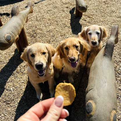 Farm to Pet Healthy Dog Treats - Fish Chips Dog Treats