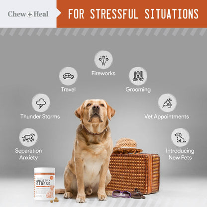 Chew + Heal - Calming Anxiety & Stress