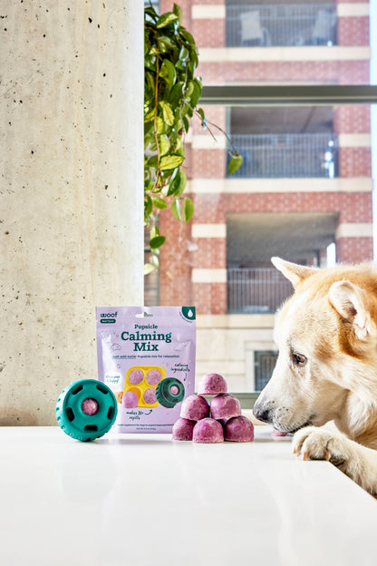 Woof - Pupsicle Treat Mix - Calming