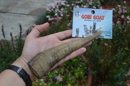 QT Dog, LLC - Gobi Goat Horn
