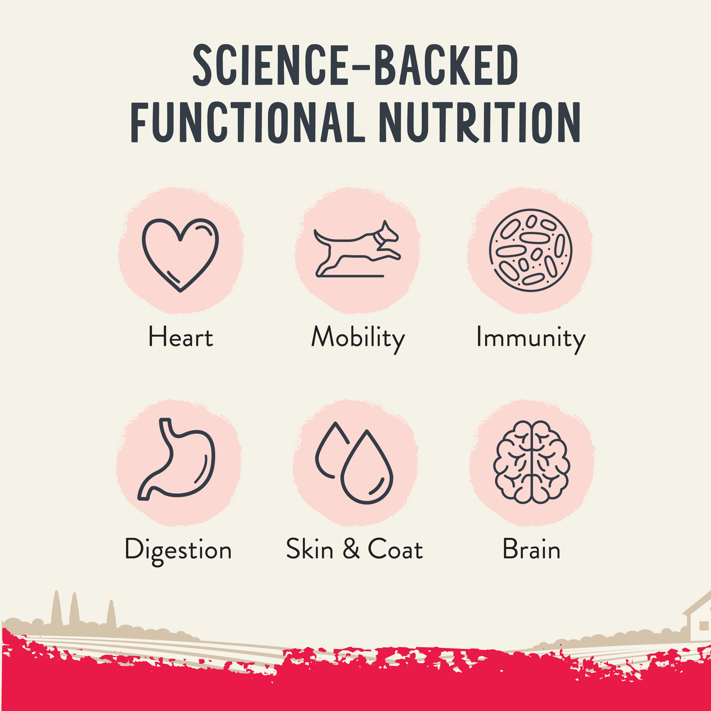 Health Extension Pet Care - Freeze Dried Raw Beef Recipe