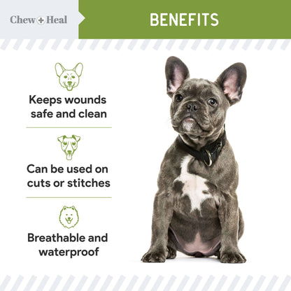 Chew + Heal - Liquid Bandage for Dogs, Pet First Aid Essential - 4 oz.