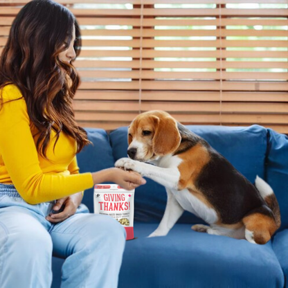 The Granville Island Pet Treatery (USA) - Turkey Freeze-Dried Pet Treats: High-Protein & Nutritious