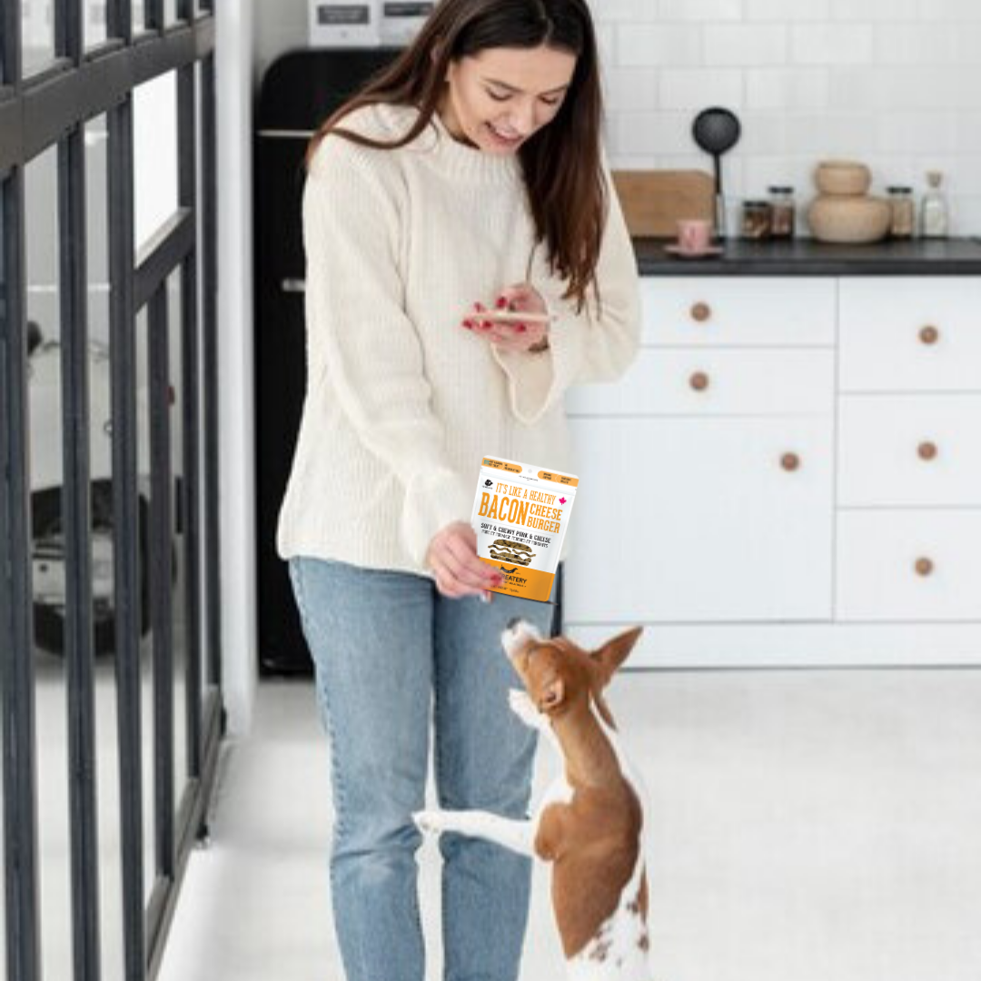 The Granville Island Pet Treatery (USA) - Pork & Cheese Soft Dog Treats: For Puppies and Seniors