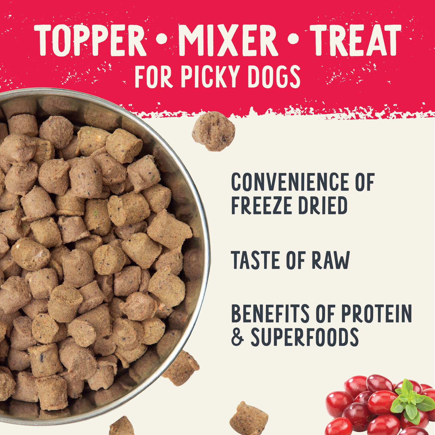 Health Extension Pet Care - Freeze Dried Raw Beef Recipe