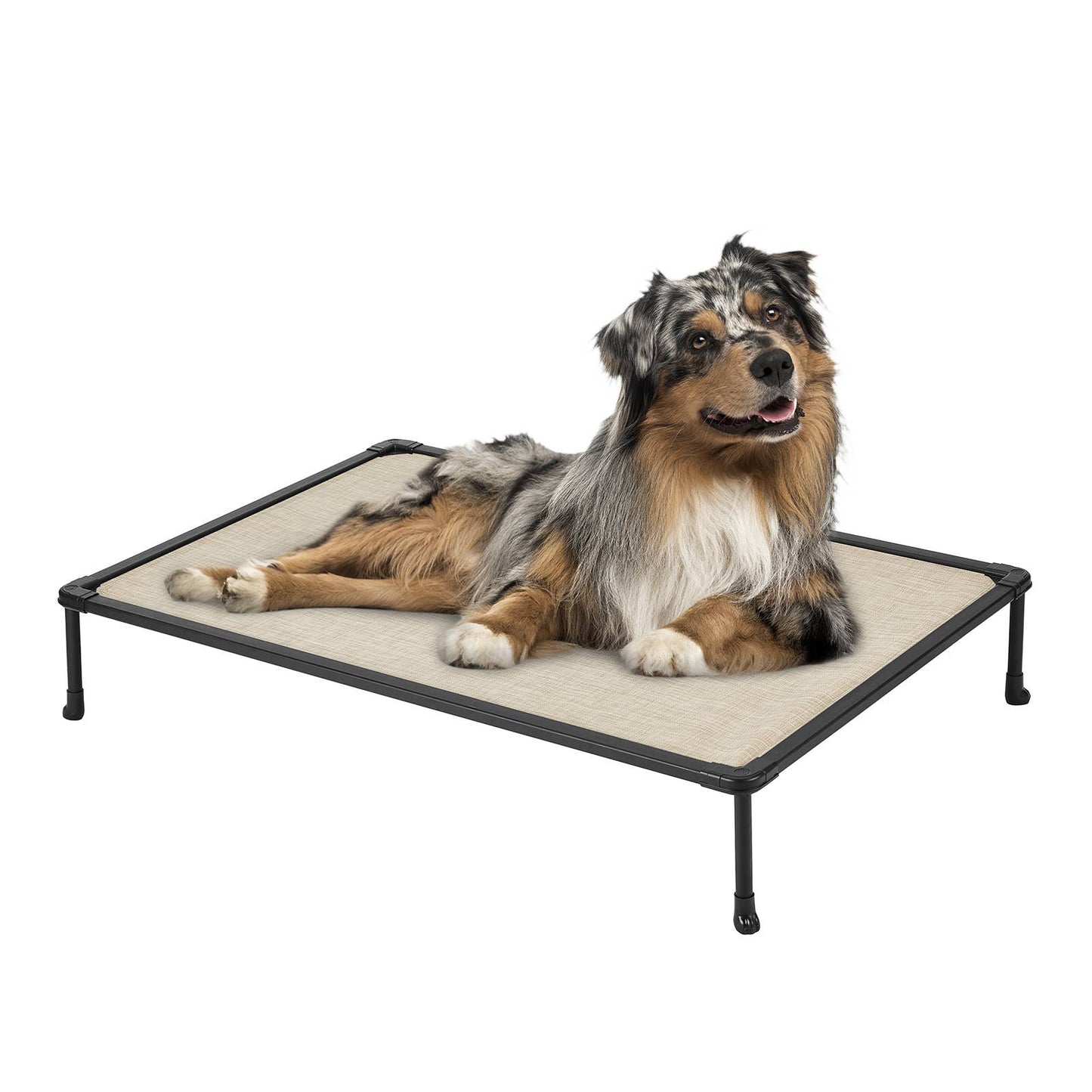 veehoo - Veehoo Chew-Proof Dog Bed - Black Metal Frame