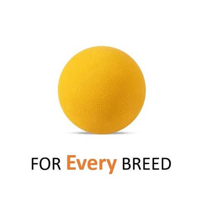 OllyDog - Happy Camper Ball Mango