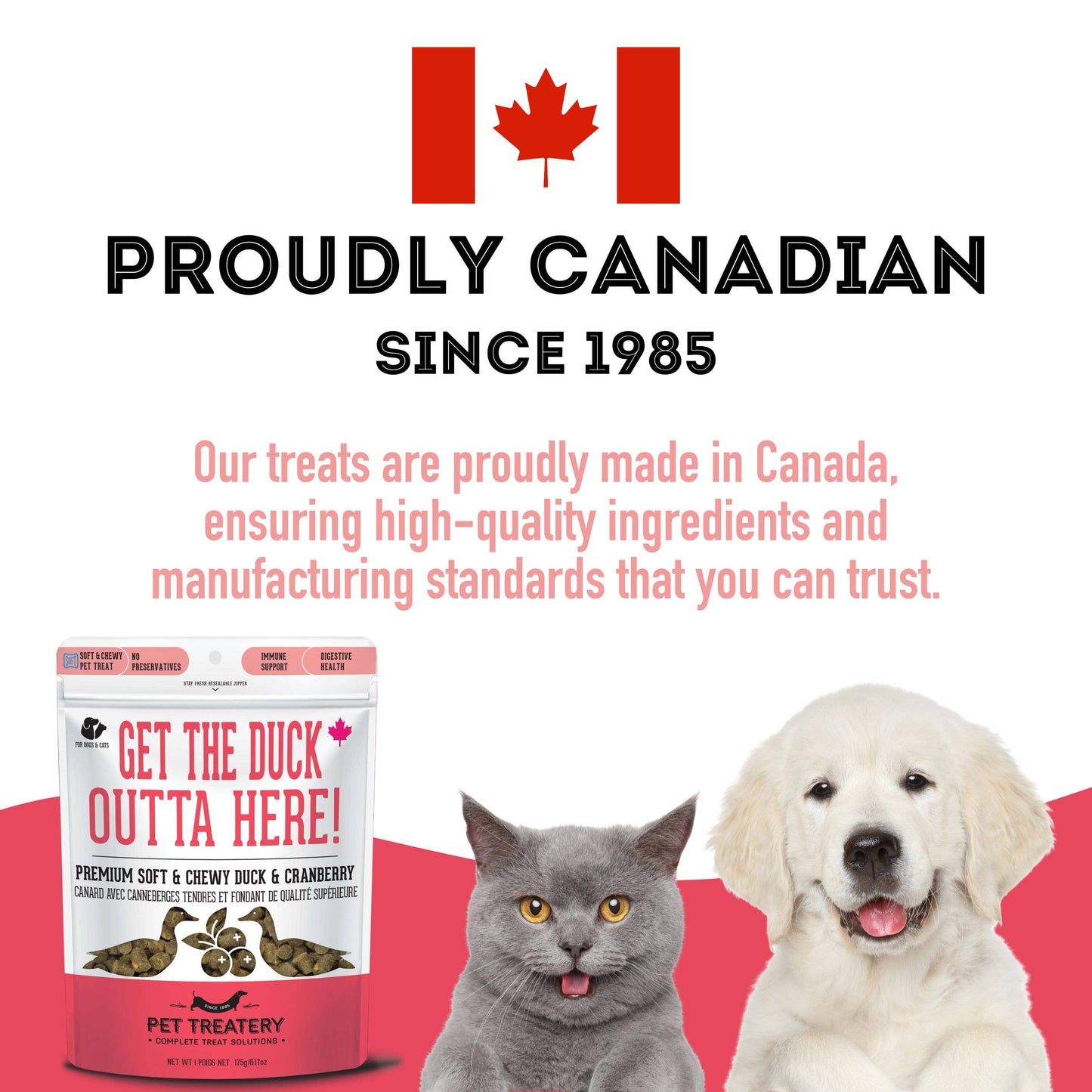 The Granville Island Pet Treatery (USA) - Duck & Cranberry Soft Dog Treats: Chewy & All-Natural
