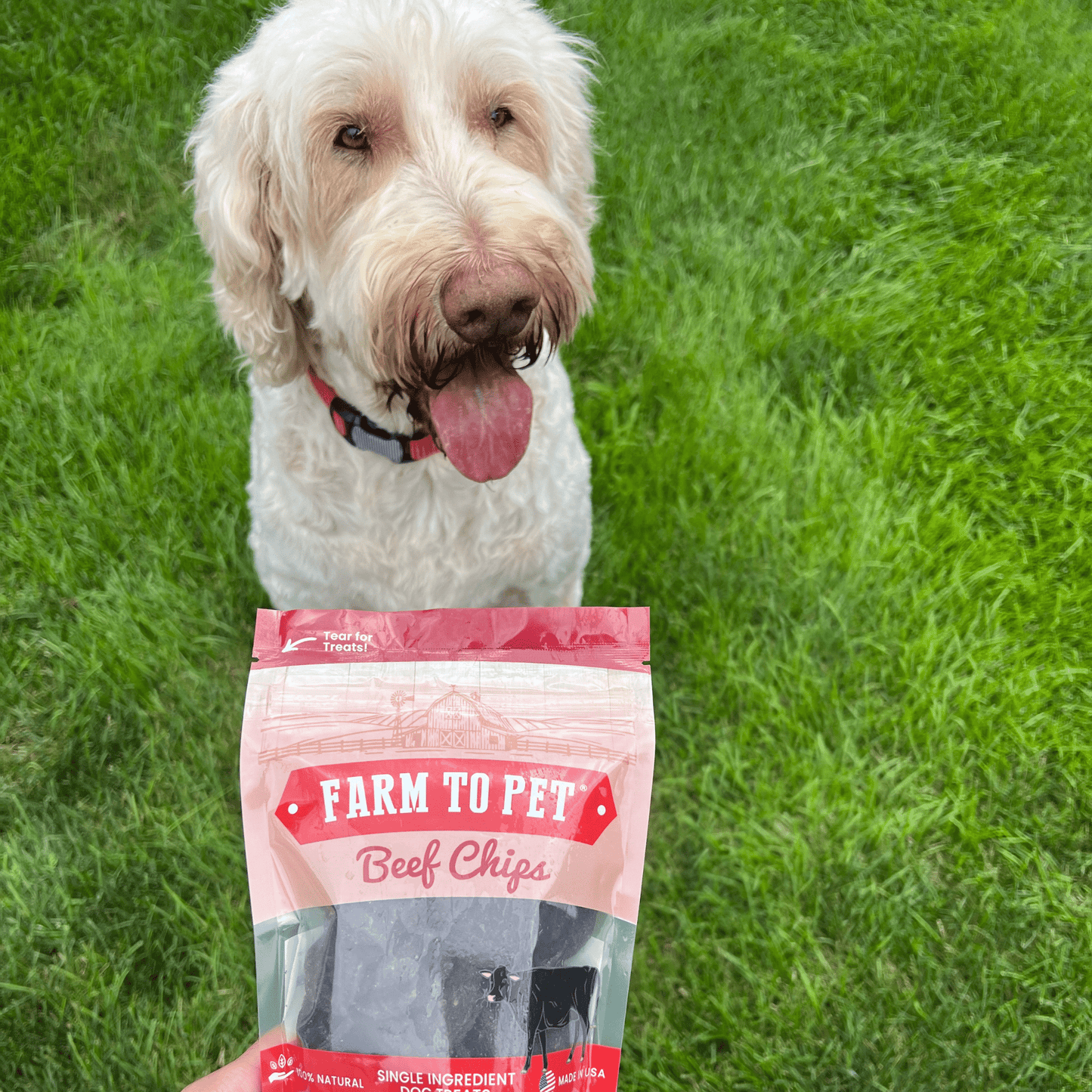 Farm to Pet - Beef Chips Dog Treats