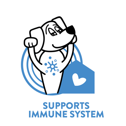 Shameless Pets - Blueberried Treasure Soft Baked Dog Treats