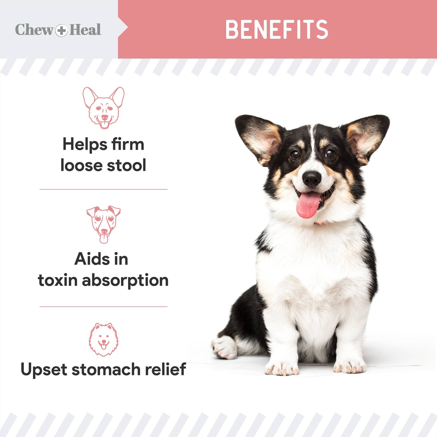 Chew + Heal - Stop the Diarrhea, Anti Diarrhea for Dogs