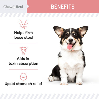 Chew + Heal - Stop the Diarrhea, Anti Diarrhea for Dogs