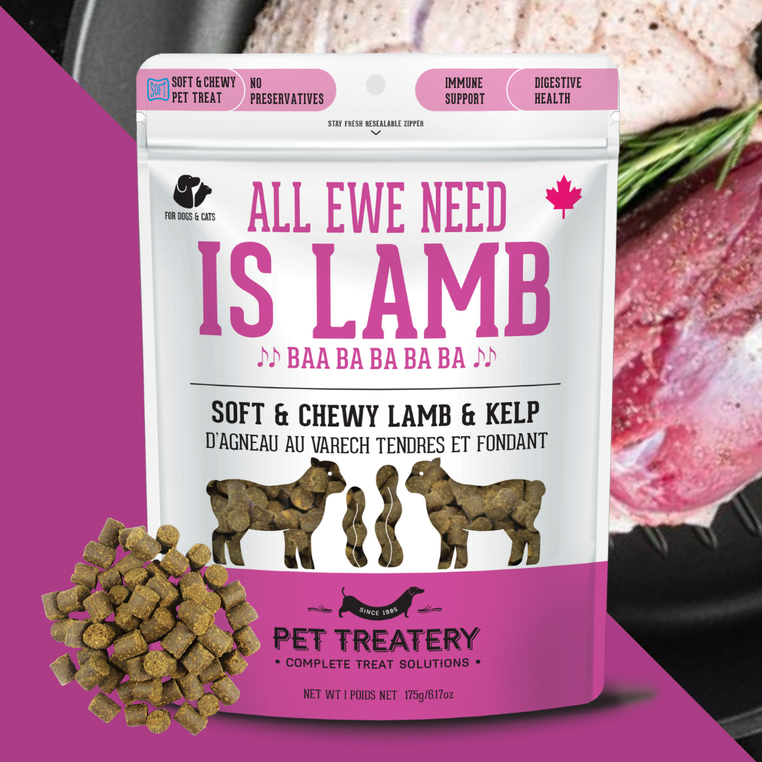 The Granville Island Pet Treatery (USA) - Lamb & Kelp Soft Dog Treats: Chewy & All-Natural