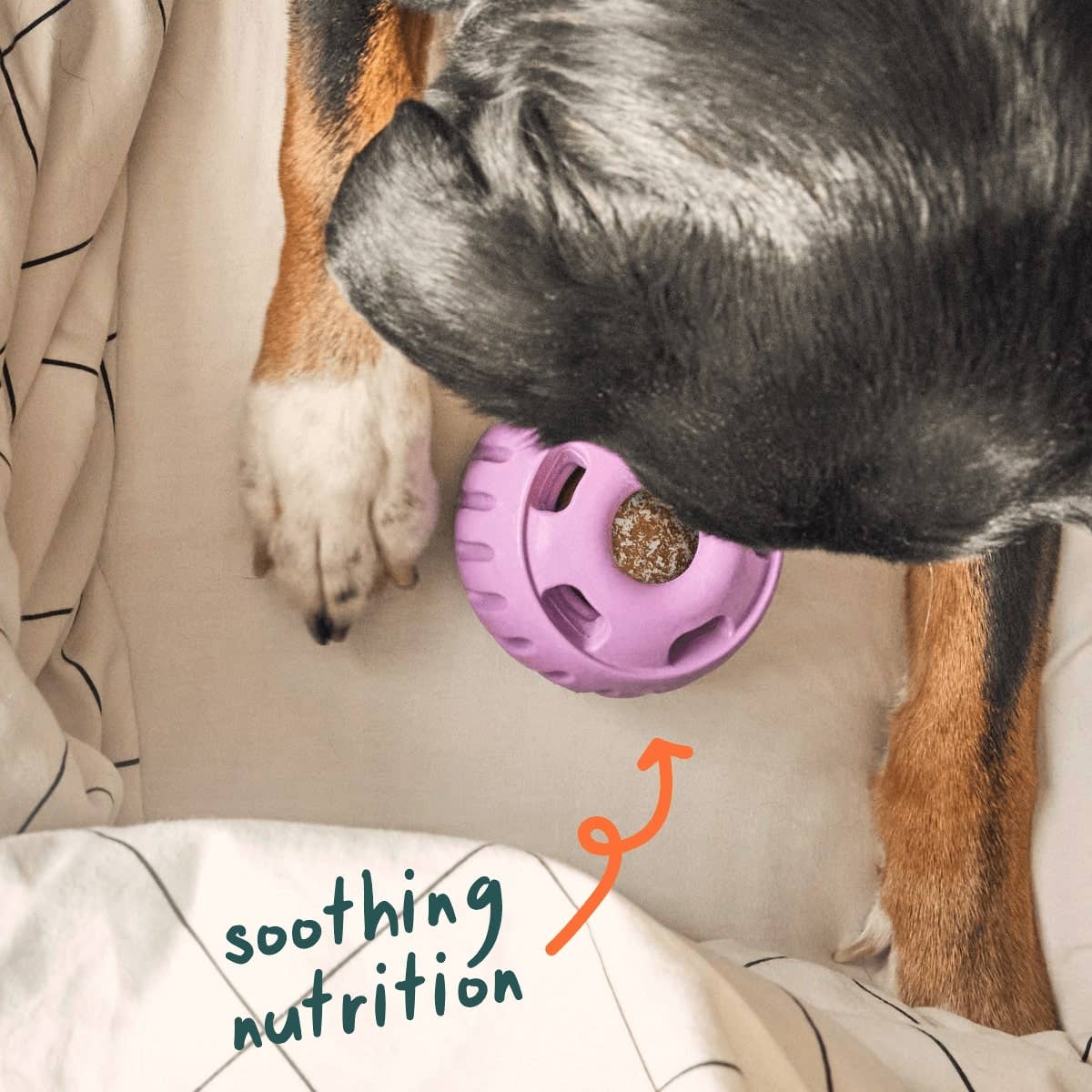 Woof - Calming Wellness Pops