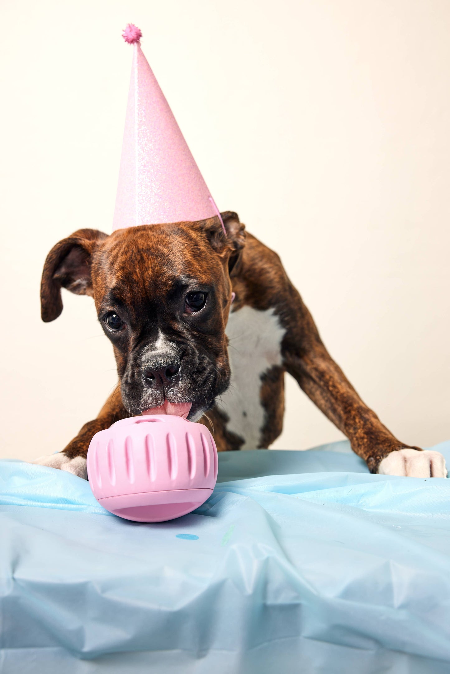 Woof - Party Pupsicle