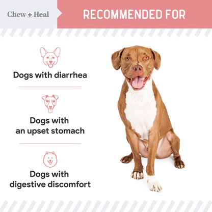 Chew + Heal - Stop the Diarrhea, Anti Diarrhea for Dogs