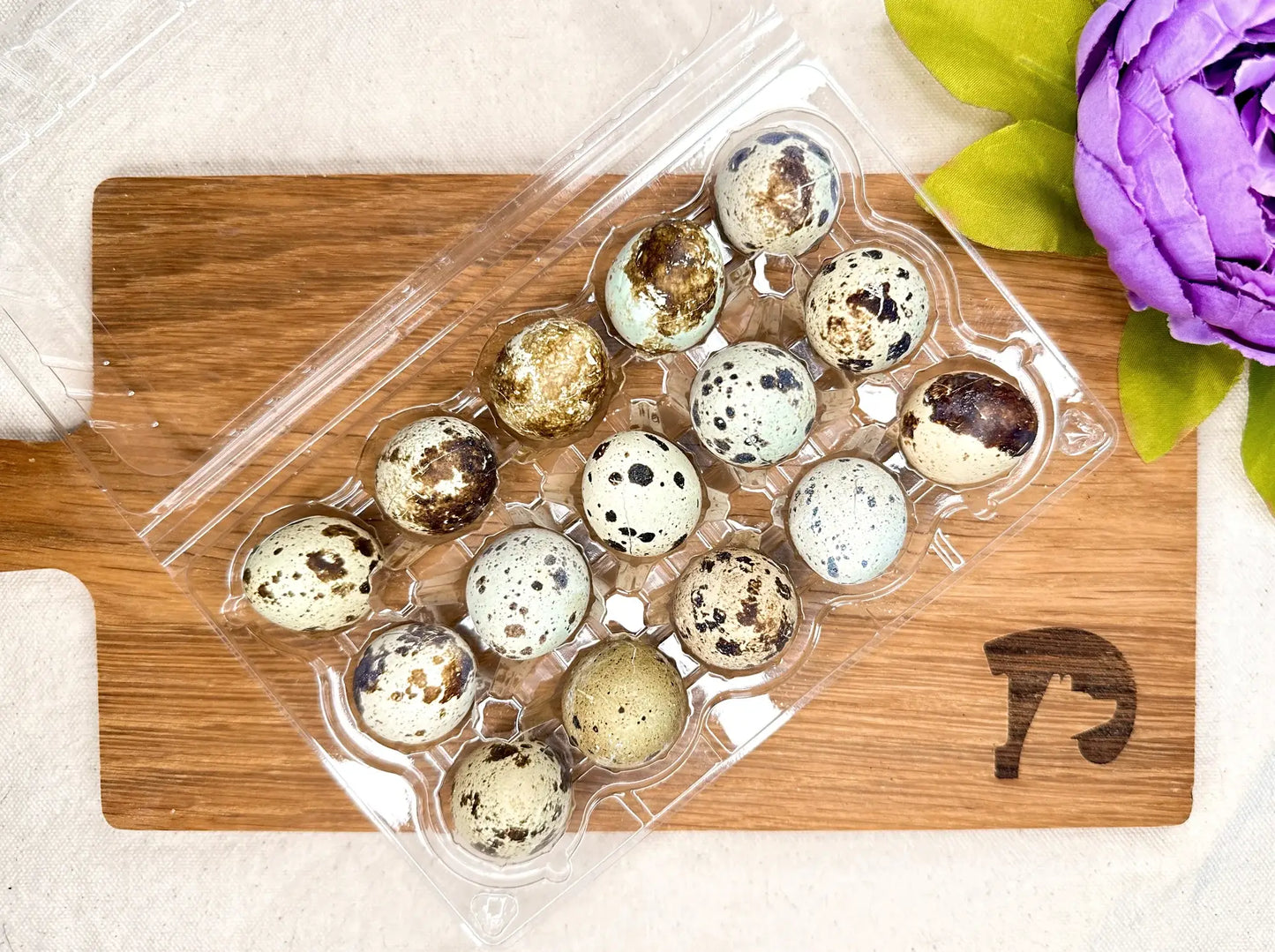 Droolicious - Freeze-dried Quail Eggs