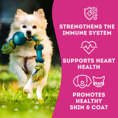 The Granville Island Pet Treatery (USA) - Wild Salmon Freeze-Dried Pet Treats: High-Protein & Natural