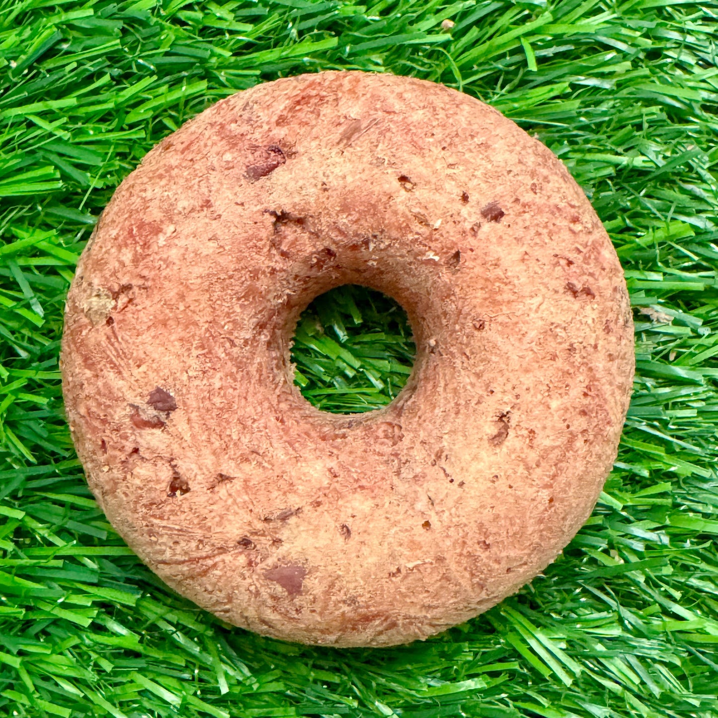 Golden Nibbles - Turkey & Cranberry Donut - Freeze-Dried