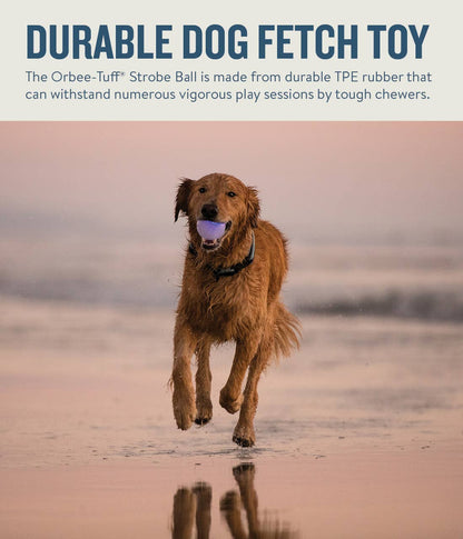 Pet Palette Distribution - Planet Dog Orbee-Tuff Strobe Ball Light Up Dog Toy White