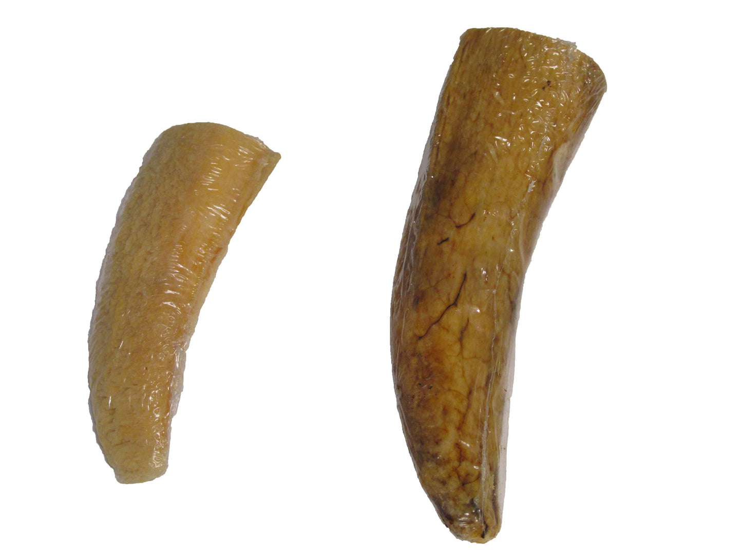 QT Dog, LLC - Buffalo Horn Core