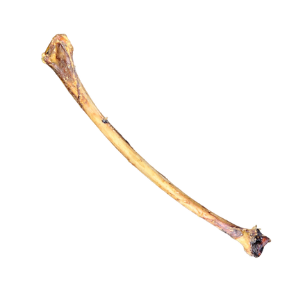 Savannah Pet Food - Ostrich Wing Bone