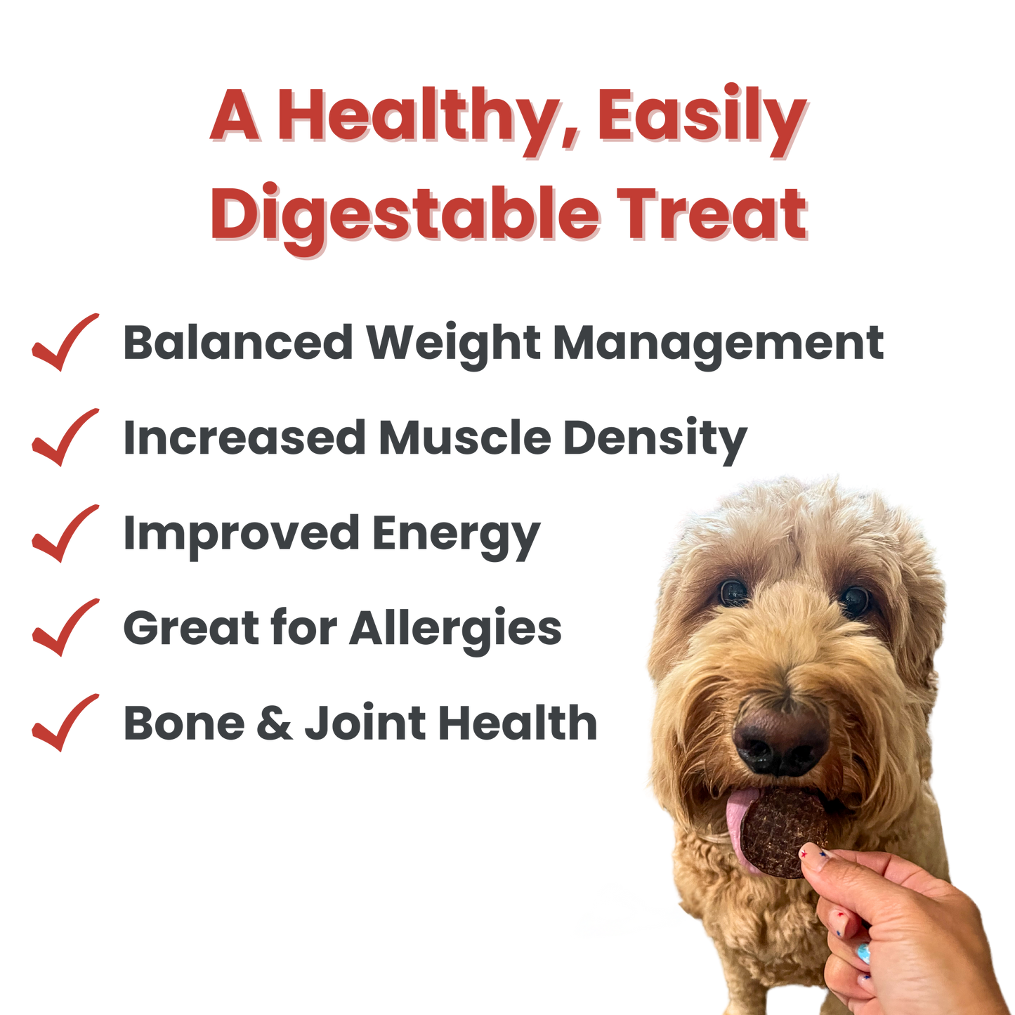 Farm to Pet - Beef Chips Dog Treats