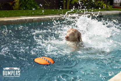 Katie's Bumpers - NEW!! KB Frequent Flyer Floater